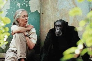 Image of Jane Goodall